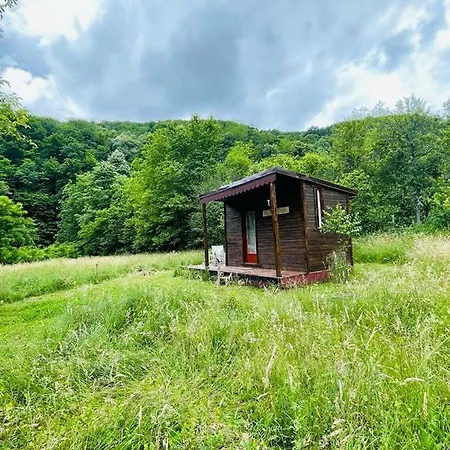 Retreat In Padure * Bökény