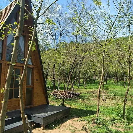 Retreat In Padure * Bökény